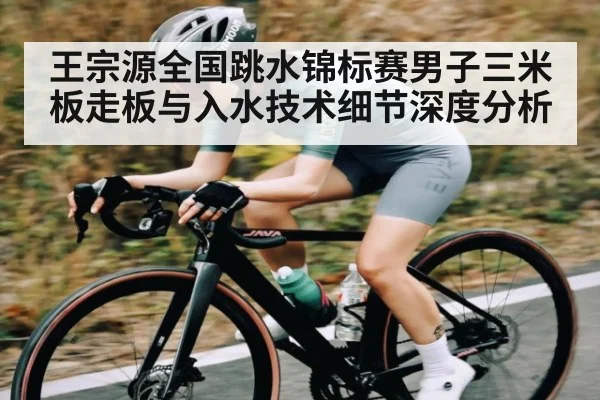 王宗源全国跳水锦标赛男子三米板走板与入水技术细节深度分析